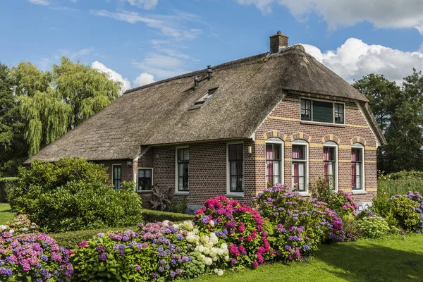 Evin ortanca Giethoorn Hollanda ile