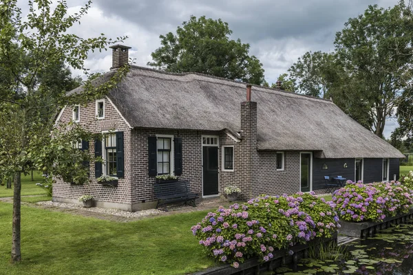 Hortênsia da casa pequena em Giethoorn — Fotografia de Stock