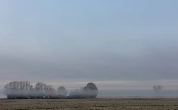 冬天的早晨，在 Giethoorn 附近的农场 — 图库照片