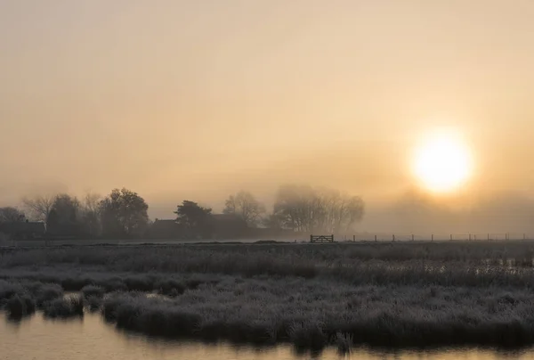 Gårdar på vintermorgon nära Giethoorn — Stockfoto