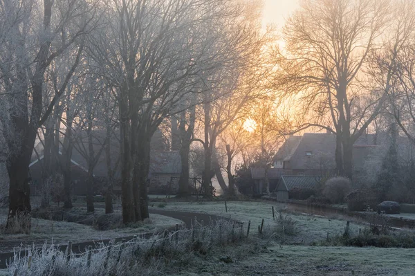 Winter Morning in Nederland — 图库照片