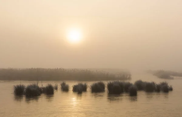 Vintermorgon i Weerribben och Wieden — Stockfoto