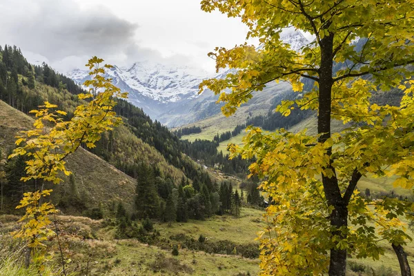 Höst på grossglockner — Stockfoto