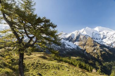 Grosses Wiesbachhorn yaz Avusturya