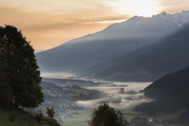 Pinzgau 'da Salzach Vadisi Wald