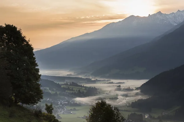 Pinzgau 'da Salzach Vadisi Wald