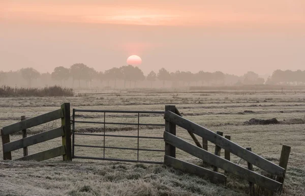 Winter Morning in  Giethoorn with Gate — Stock Photo, Image