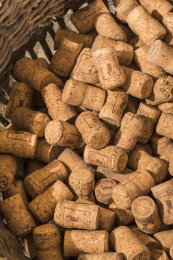 Şampanya mantarları metaqualone sepet