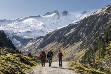 Yabanıl yürüyüş Hohe Tauern