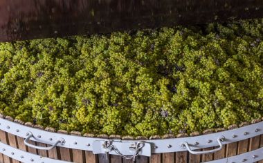 Chardonnay içinde şarap basın kapatma