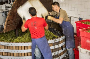 İki adam şarap basın Dizy çalışma 