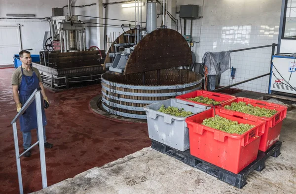 Dos prensas de vino Dizy Francia — Foto de Stock