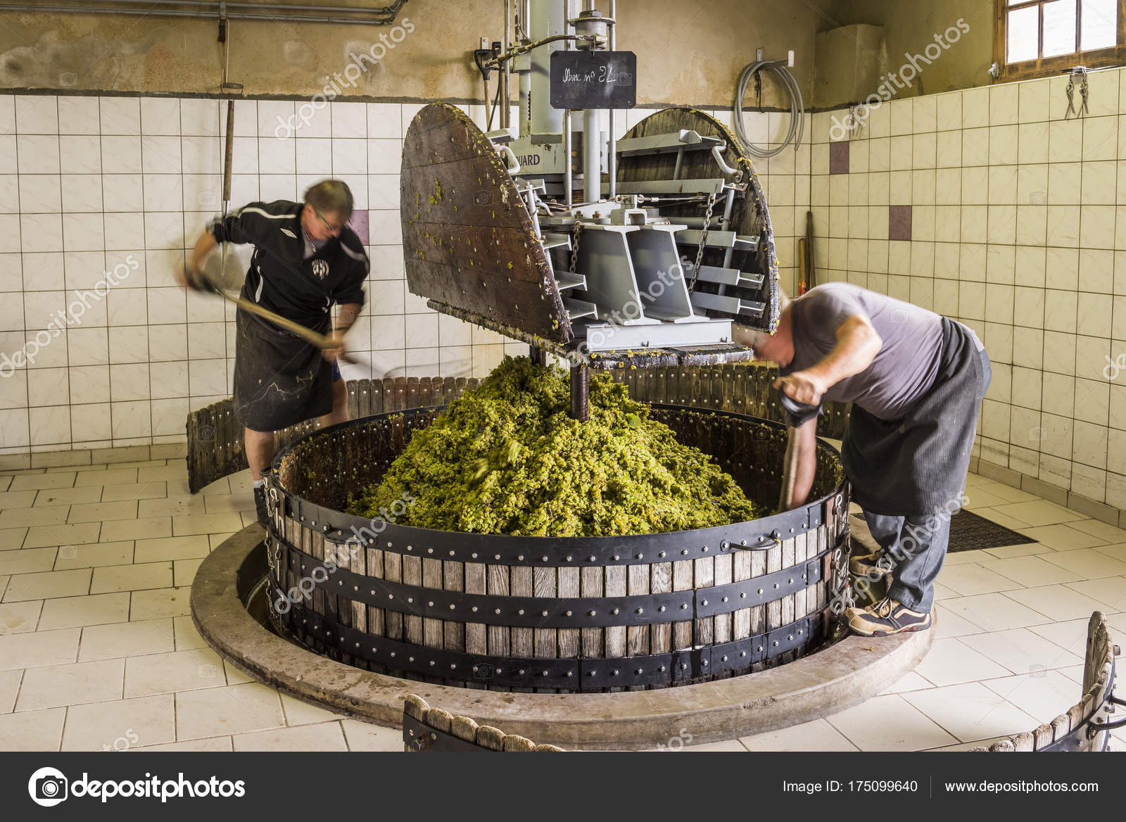 Pressing Grapes in Hautvillers Champagne Stock Editorial Photo