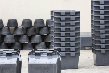 Şampanya kasalarda hasat