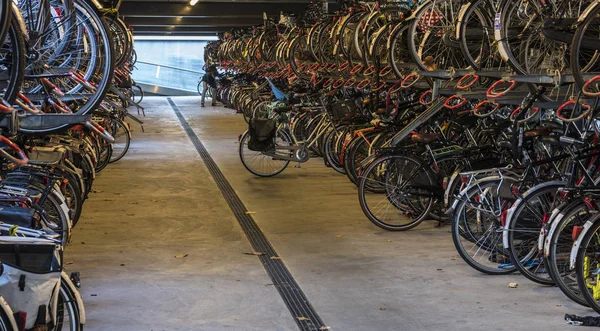 Ripostiglio biciclette a Nijmegen — Foto Stock