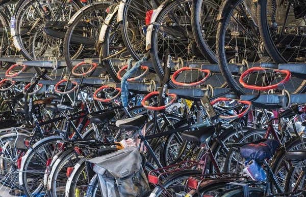 Barracão de bicicleta Nijmegen Station — Fotografia de Stock