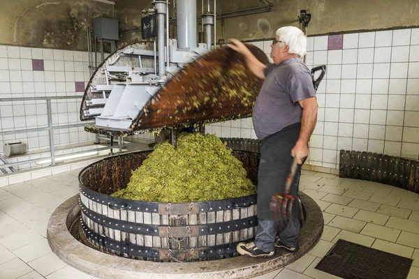 Cierre de la prensa de vinos en Pressoir Champagne — Foto de Stock
