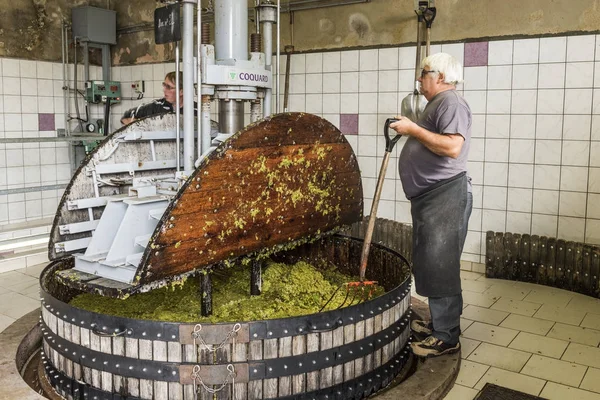 Hautvillers naciśnięcie szampana winogron — Zdjęcie stockowe