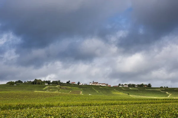 Mutigny med kyrkan i vingårdar — Stockfoto