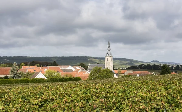 Sermiers i Champagne-regionen — Stockfoto