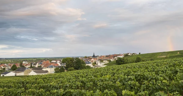 Villers-Marmery in Champagne — Stok fotoğraf