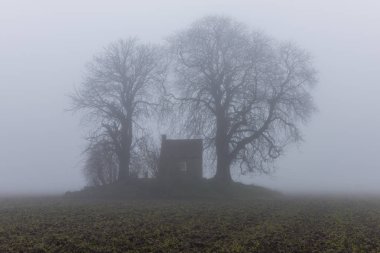 Misty Field Dordrecht küçük bir evde