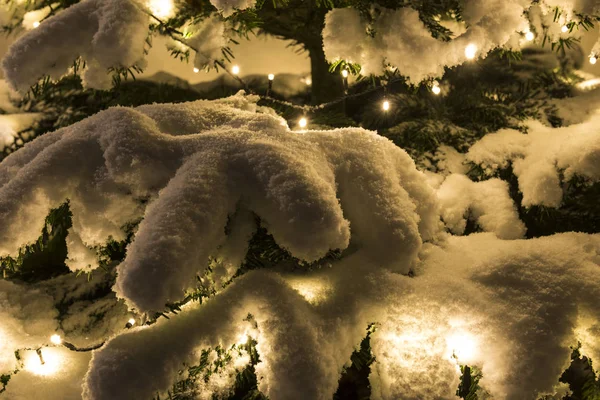 Karácsonyi fények a hó — Stock Fotó
