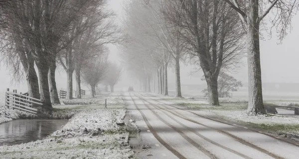 Road Snow Storm Noordeloos — Stock Photo, Image