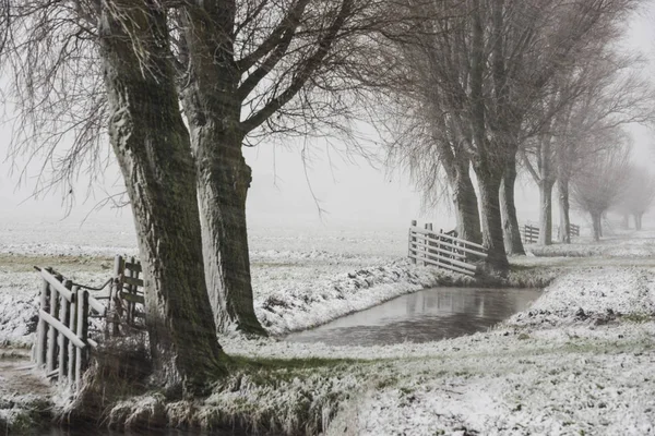 Winter Snow Storm Noordeloos — Stock Photo, Image