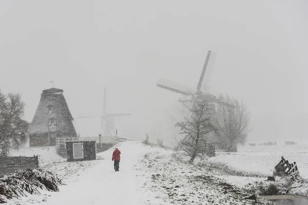 Moinhos de vento de inverno Streefkerk — Fotografia de Stock