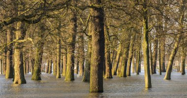 Deventer IJssel Flood Park Worp