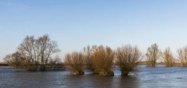 Río IJssel Zutphen inundación —  Fotos de Stock