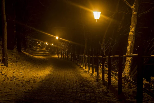 Castle Road Wernigerode in de winter nacht — Stockfoto
