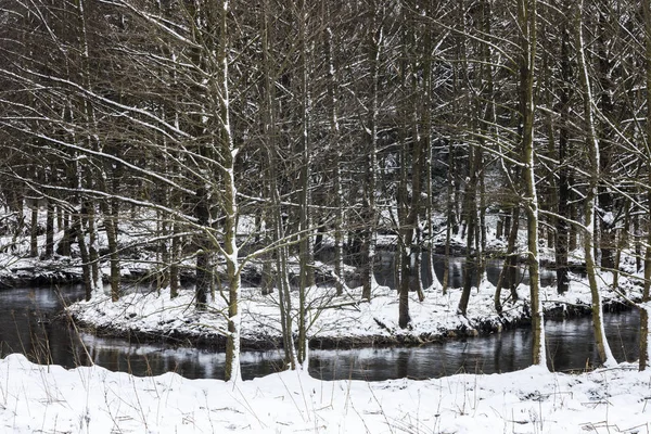 Warme Bode River im Harz — Stok Foto