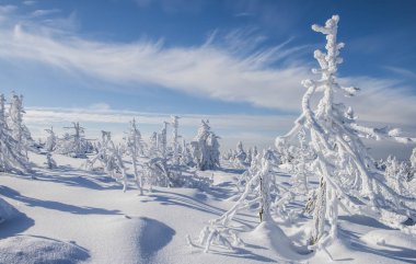 Brocken kış ağaçlar ve mavi gökyüzü