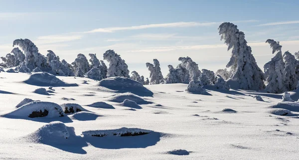 Winter on the Brocken — Stock Photo, Image