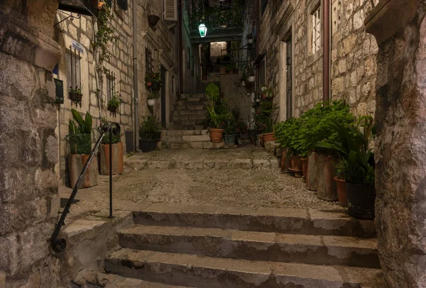 Gatuväxter Night Dubrovnik — Stockfoto