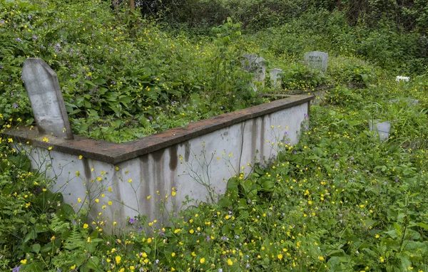 Cementerio Flores Alapinar Turquía — Foto de Stock