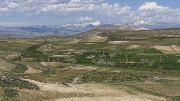 Haupt-Bolagh-iran-Berg — Stockfoto