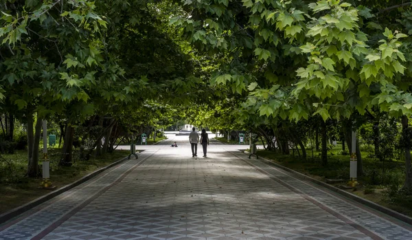 Parc Ashgabat Turkménistan Randonnée pédestre — Photo