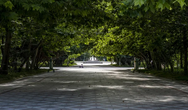 Park Ashgabat Turkmenistan — Zdjęcie stockowe