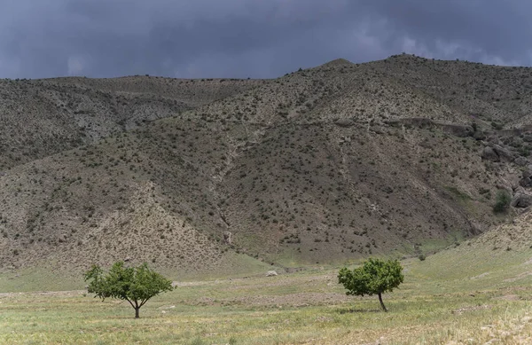 Duas Árvores Perto Vishkent Província Sughd Tadzjiquistão Com Montanhas Nuvens — Fotografia de Stock