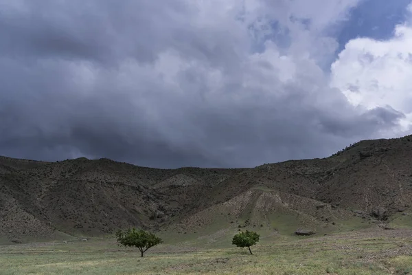 Twee Bomen Bij Vishkent Provincie Sughd Tadzjikistan Met Bergen Zwarte — Stockfoto