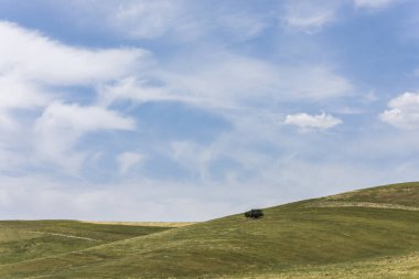 Yazın yeşil tepelerde tek bir ağaç mavi gökyüzünde beyaz bulutlar.