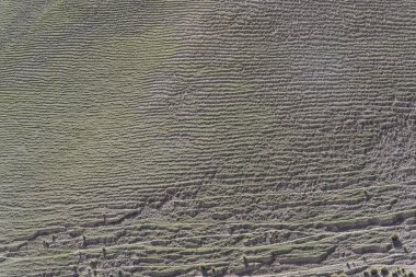 Kırgızistan 'da keçi ve koyunlardan oluşan yamaçtaki erozyon..