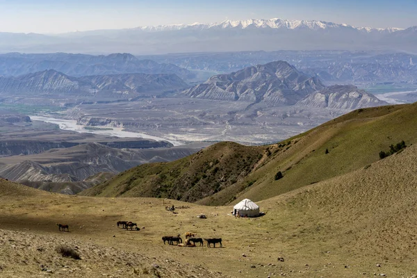 Panorama Del Toguz Toro Pass Con Valle Kirguistán Día Verano — Foto de Stock