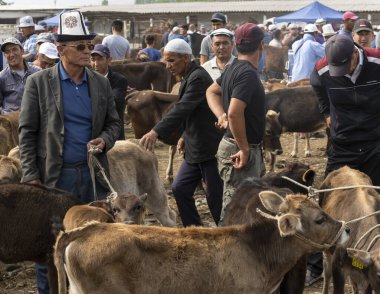 Osh, Kırgızistan - 30 Haziran 2019: Osh, Kırgızistan 'da insan ve sığırlarla birlikte hayvan pazarı.