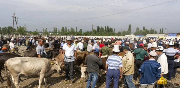 Osh Kirgizië Juni 2019 Veehouderijmarkt Met Mens Vee Osh Kirgizië — Stockfoto