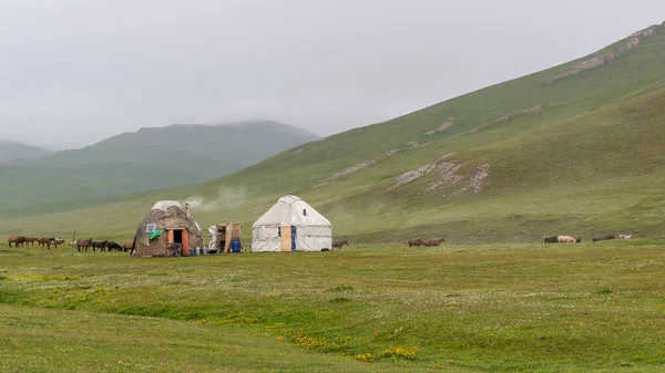 Son Kul Kirgizisztán 2019 Július Jurták Nyaralni Egy Nagy Zöld — Stock Fotó