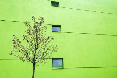 Büyük duvar iki windows ve çizgiler ile modern binasında. Windows yansımaları. Kopya alanı